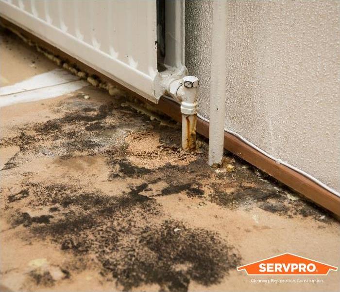 Close-up of water damage and mold growth on the floor beneath a radiator, with SERVPRO logo in the bottom right corner.